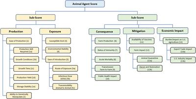 Application of multi-criteria decision analysis techniques and decision support framework for informing select agent designation for agricultural animal pathogens